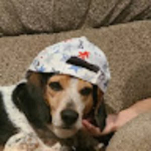 Meet your Posher, Skippy